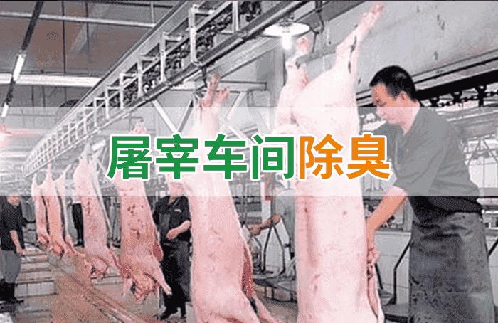 屠宰場臭氣影響周邊環(huán)境？解決辦法在這里-1