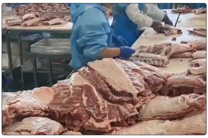 屠宰工廠惡臭影響周邊，使用除臭劑有什么注意要點(diǎn)？.jpg