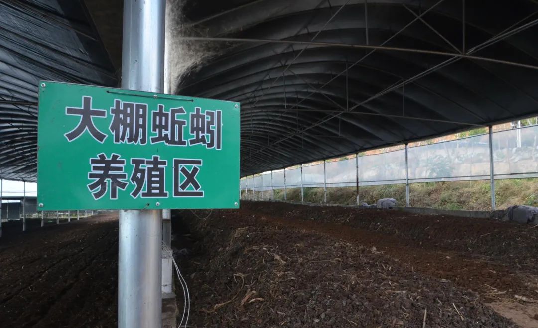 潔匠凈化·的凈工業(yè)除臭劑_的凈工業(yè)除臭劑高效治理蚯蚓養(yǎng)殖惡臭異味大、牛糞味濃