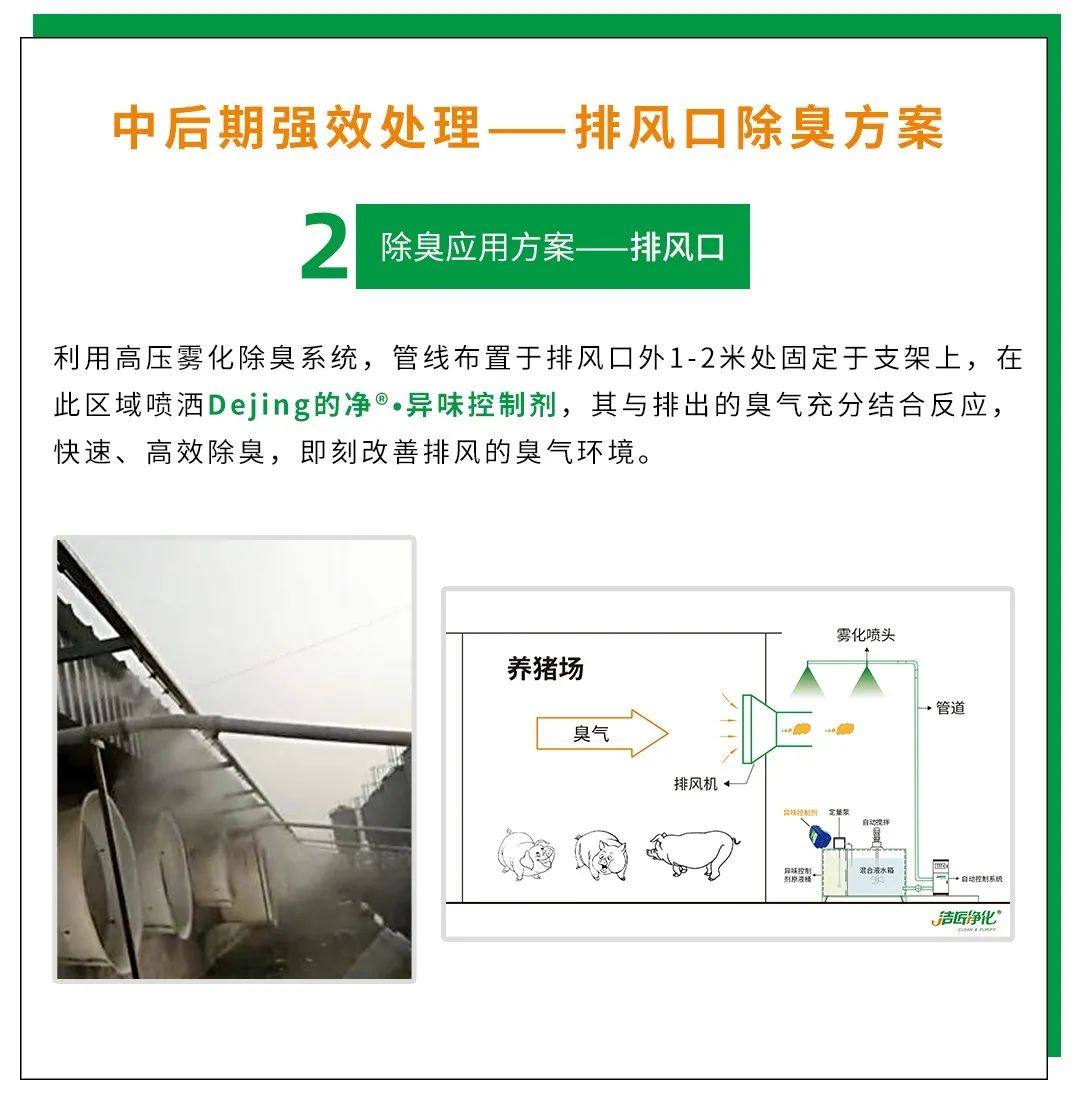 Dejing的凈養(yǎng)殖場除臭劑如何迅速清理養(yǎng)殖場臭味？.jpg