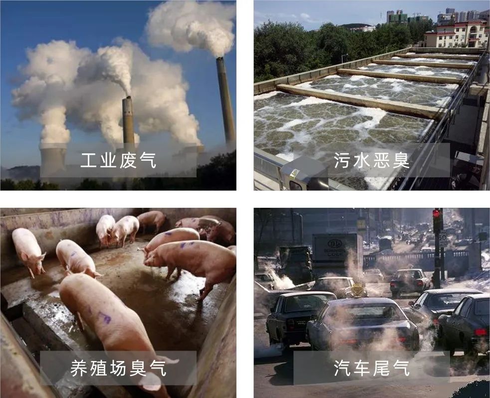 Dejing的凈工業(yè)除臭劑——解決臭味困擾的源頭！.jpg